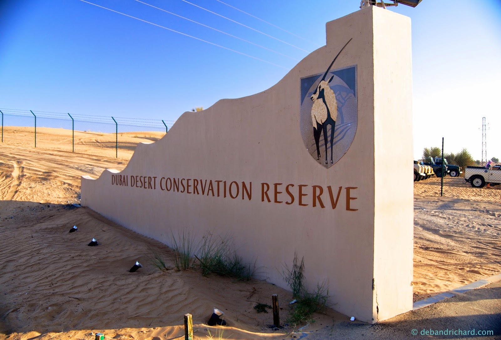 Dubai Desert Conservation Reserve